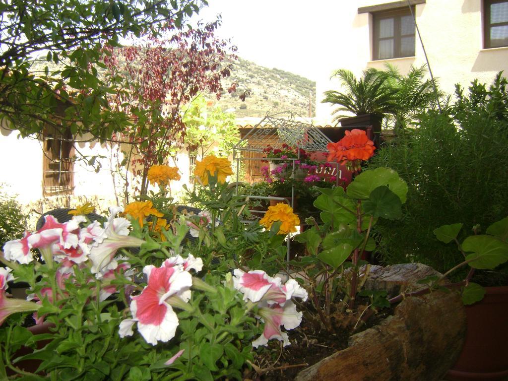 Apartamentos Rurales La Muralla II Canete  エクステリア 写真